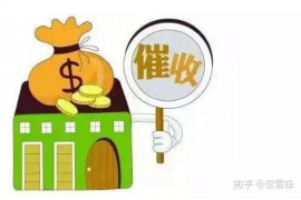 迪庆要账公司更多成功案例详情